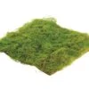14″W X 14″L Square Water Sphagnum Moss Sheet Green