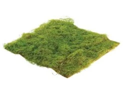 14″W X 14″L Square Water Sphagnum Moss Sheet Green