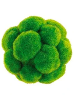 5″ Moss Ball Green
