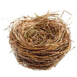 5.1″H X 9.45″D Bird’s Nest Brown