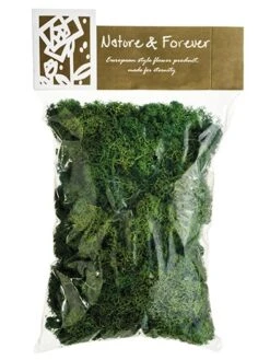 10.5″ Assorted Preserved Reindeer Moss In Bag (170 Grams/Bag) Green