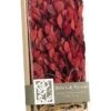 4.1″H X 7″W X 16.9″L Assorted Preserved Tea Leaf Pick In Box Red
