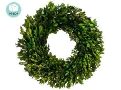 17″ Preserved Boxwood Wreath Green