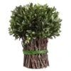 10.2″ Preserved Boxwood Bundle Green