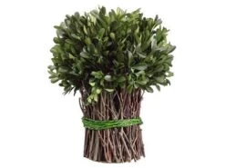 10.2″ Preserved Boxwood Bundle Green