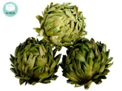 4.3″D Preserved Artichoke Ball (3 Ea/acetate Box) Green