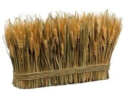 9.8″ Preserved Wheat/Grass Standing Twig Natural
