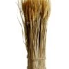 16.9″ Preserved Wheat/Grass Standing Twig Natural