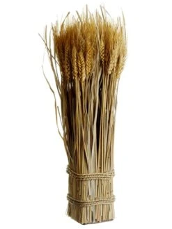 16.9″ Preserved Wheat/Grass Standing Twig Natural
