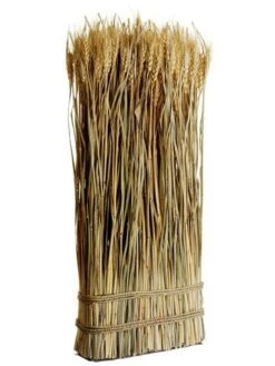 23.6″ Preserved Wheat/Grass Standing Twig Natural