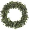 22″ Preserved Boxwood Wreath Green