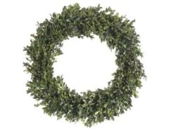 22″ Preserved Boxwood Wreath Green