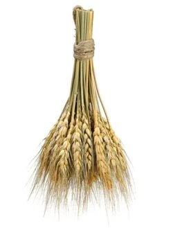 8.2″ Preserved Wheat Bundle Natural