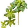 11.8″ Soft Aeonium Pick Green