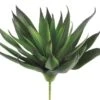 7.8″ Agave Plant With 33 Leaves Green Purple