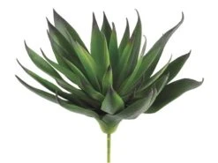 7.8″ Agave Plant With 33 Leaves Green Purple
