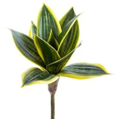 9″ Mini Sanseveria Plant Green Cream