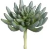 6″H X 3.5″D Soft Plastic Spike Aeonium Pick Green Gray