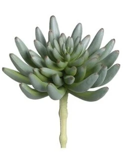6″H X 3.5″D Soft Plastic Spike Aeonium Pick Green Gray