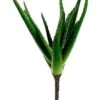 18″ Aloe Plant Green