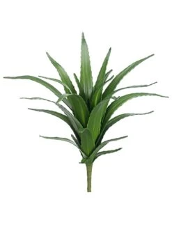 27″ Agave Bush Green
