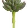 6.25″ Soft Plastic Spike Aeonium Pick Green Lavender