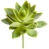5″ Soft PE Mini Agave Pick Two Tone Green