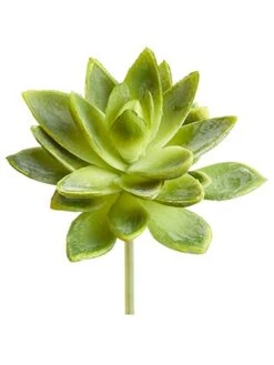 5″ Soft PE Mini Agave Pick Two Tone Green