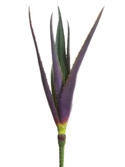 15″ Soft PE Agave Pick Green Purple