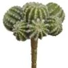 5.5″ Barrel Cactus Pick Green