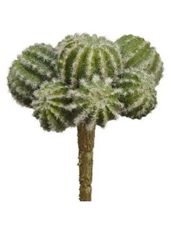 5.5″ Barrel Cactus Pick Green