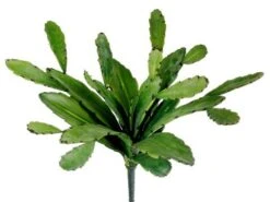 17″ Cactus Plant Green