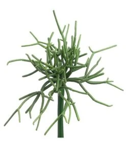 8″ Pencil Cactus Pick Green