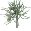 8″ Pencil Cactus Pick Green Gray
