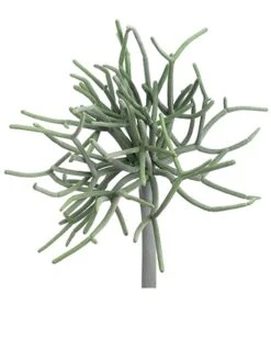 8″ Pencil Cactus Pick Green Gray