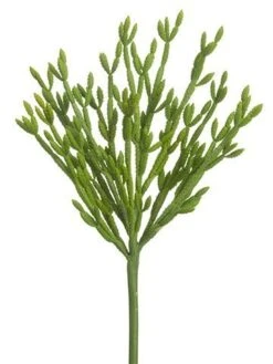 13″ Pencil Cactus Spray Green