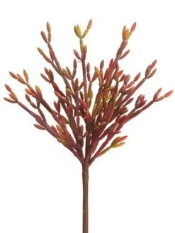 13″ Pencil Cactus Spray Red