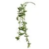 24″Soft Touch Dischidia Hanging Spray Green