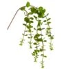 20″ Soft Touch Dischidia Hanging Pick Green