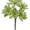 12″ Echeveria Spray Green