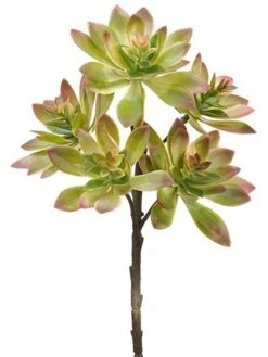 12″ Echeveria Spray Green Pink