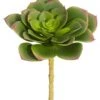 5.5″H X 4.5″D Soft Echeveria Pick Green Lavender