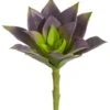 6″H X 4″D Soft Echeveria Pick Green Purple