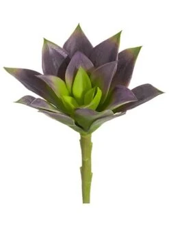 6″H X 4″D Soft Echeveria Pick Green Purple