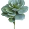15″H X 10″D Soft Echeveria Pick Green Gray