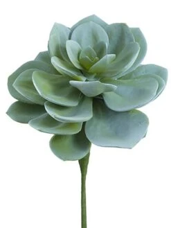 15″H X 10″D Soft Echeveria Pick Green Gray