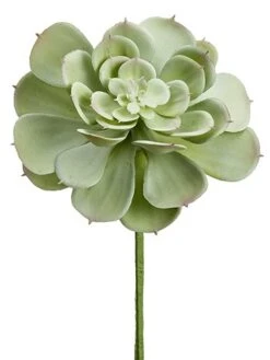 9″ Soft PE Echeveria Pick Green