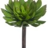 6″H X 4.75″D Soft Plastic Echeveria Pick Green