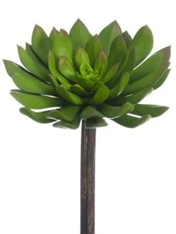 6″H X 4.75″D Soft Plastic Echeveria Pick Green