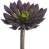 6″H X 4.75″D Soft Plastic Echeveria Pick Plum Green